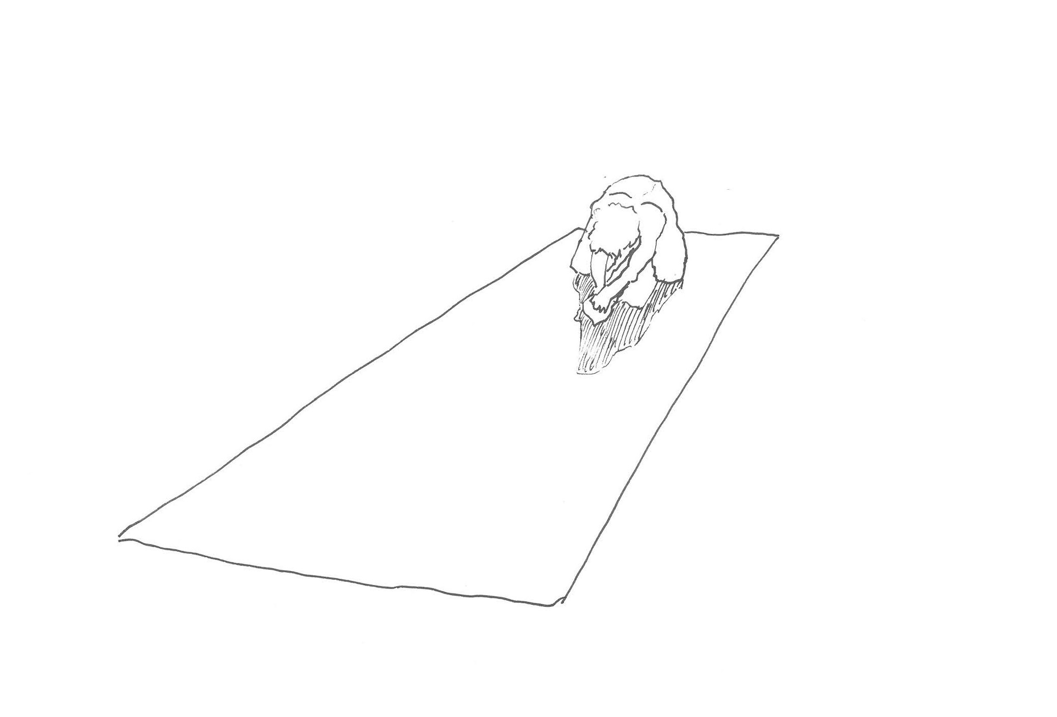 Projet 1